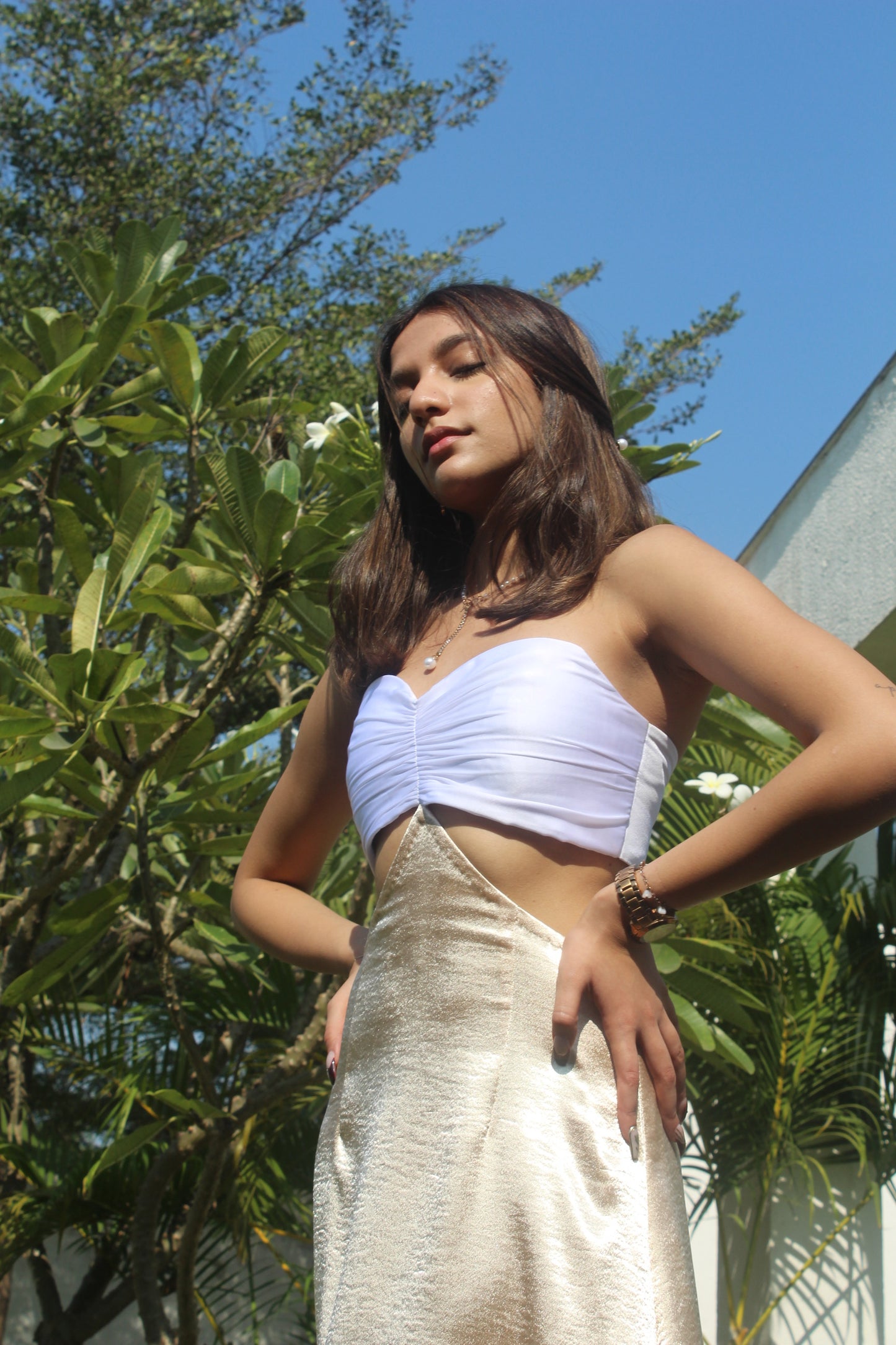Ivy